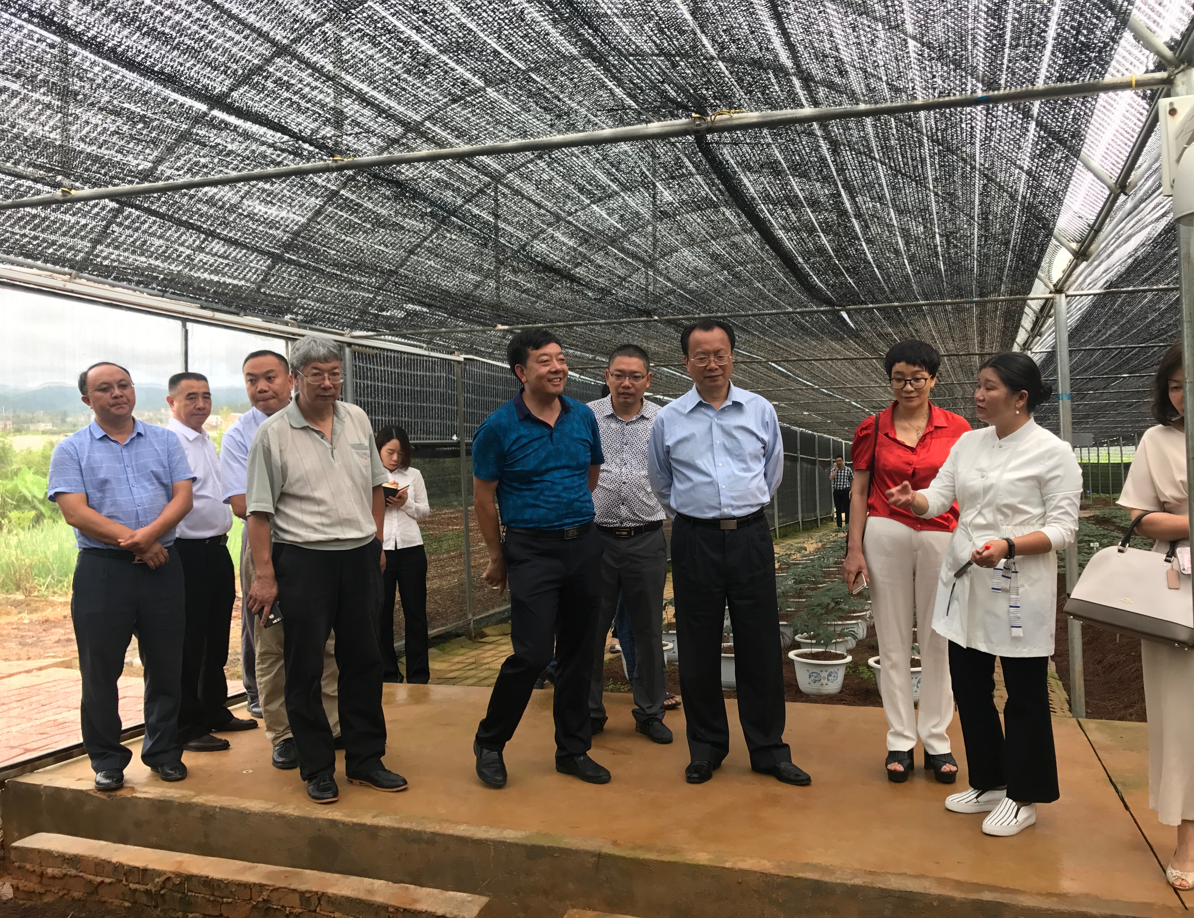 重慶市人大常委會(huì)副主任杜黎明調(diào)研組一行來苗鄉(xiāng)三七科技示范園參觀考察