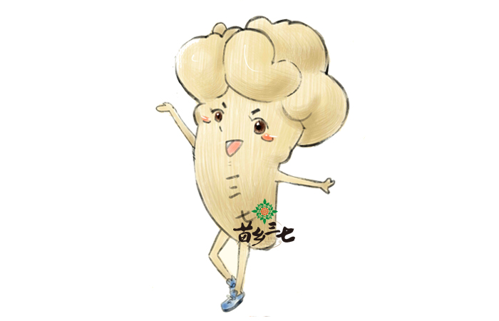 吃三七的五大禁忌，你知道嗎？