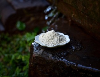 三七生粉詳解，一篇就夠了！