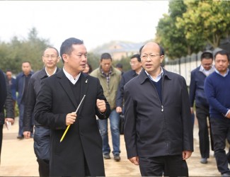 云南省委常委、副書記李秀領(lǐng)一行到苗鄉(xiāng)三七科技示范園考察調(diào)研