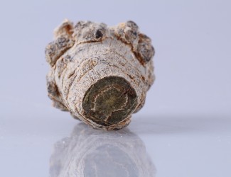 三七粉吃多長時間有效？ 三七品質(zhì)最關鍵