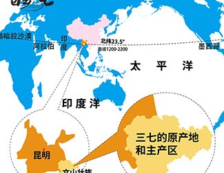 三七產(chǎn)地哪里的最好，廣西田七與云南三七有何區(qū)別