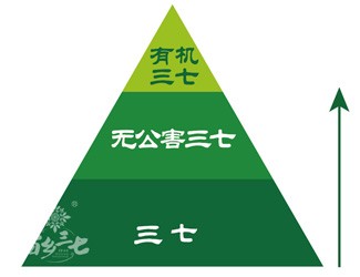 三七有幾個等級？分級依據(jù)是什么？