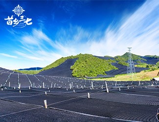 慢性咽炎怎么辦，秋季養(yǎng)生有妙招