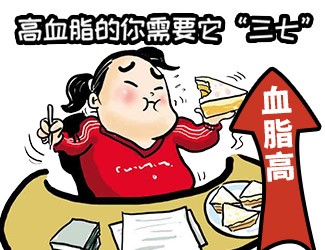 高血脂頭昏天旋地轉(zhuǎn)，三七還我一片天清氣朗