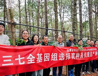 無數(shù)次從零到一，無數(shù)人前赴后繼守護三七“種業(yè)芯片”