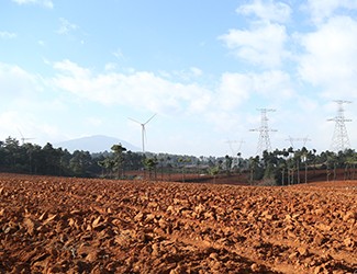 三七土壤危機何解？官會林教授開出“生態(tài)藥方”